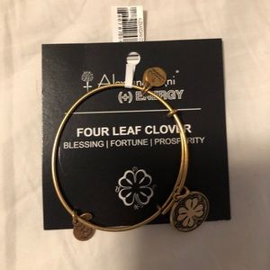 Alex and Ani NEW bracelet